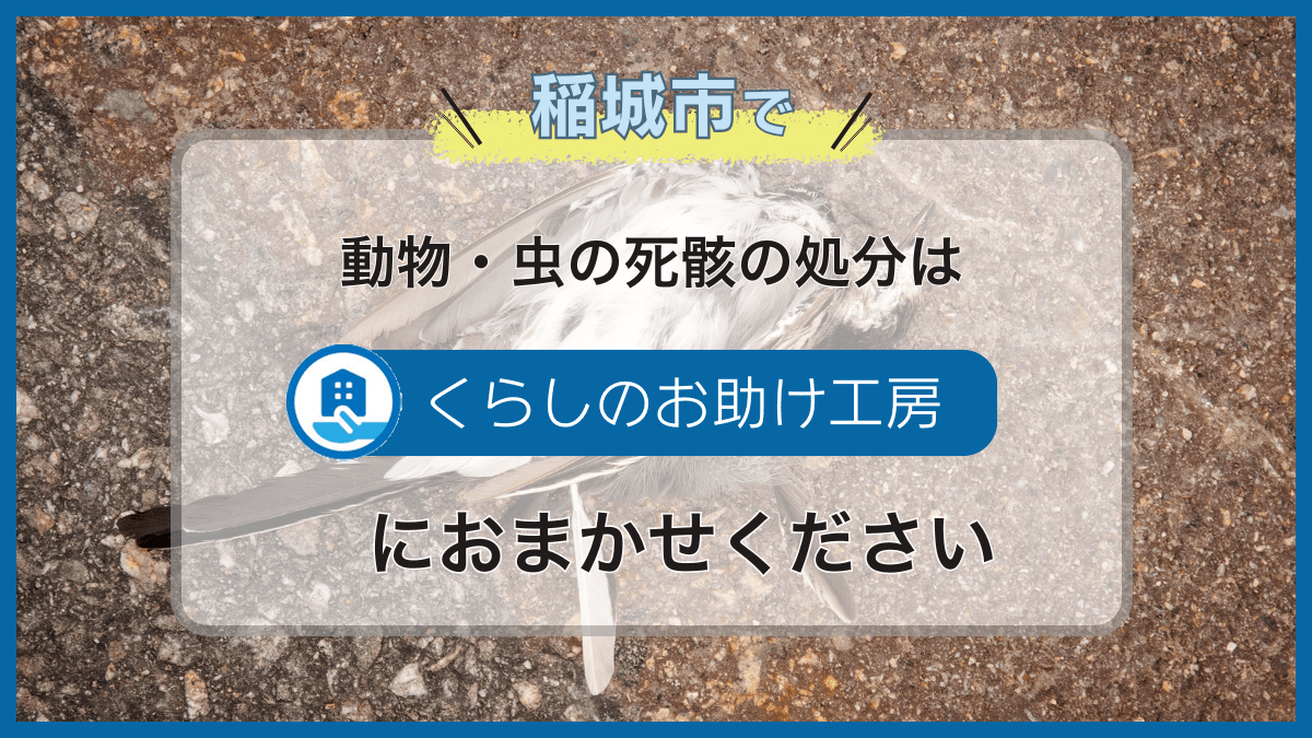 稲城市で動物・虫の死骸の処分はくらしのお助け工房におまかせください
